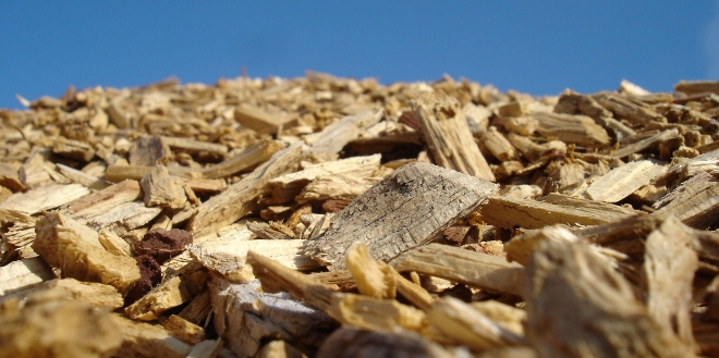 La biomasa es muy rentable en España